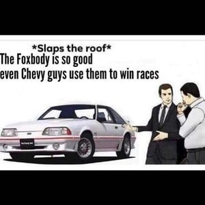 Meet your Posher, Logan